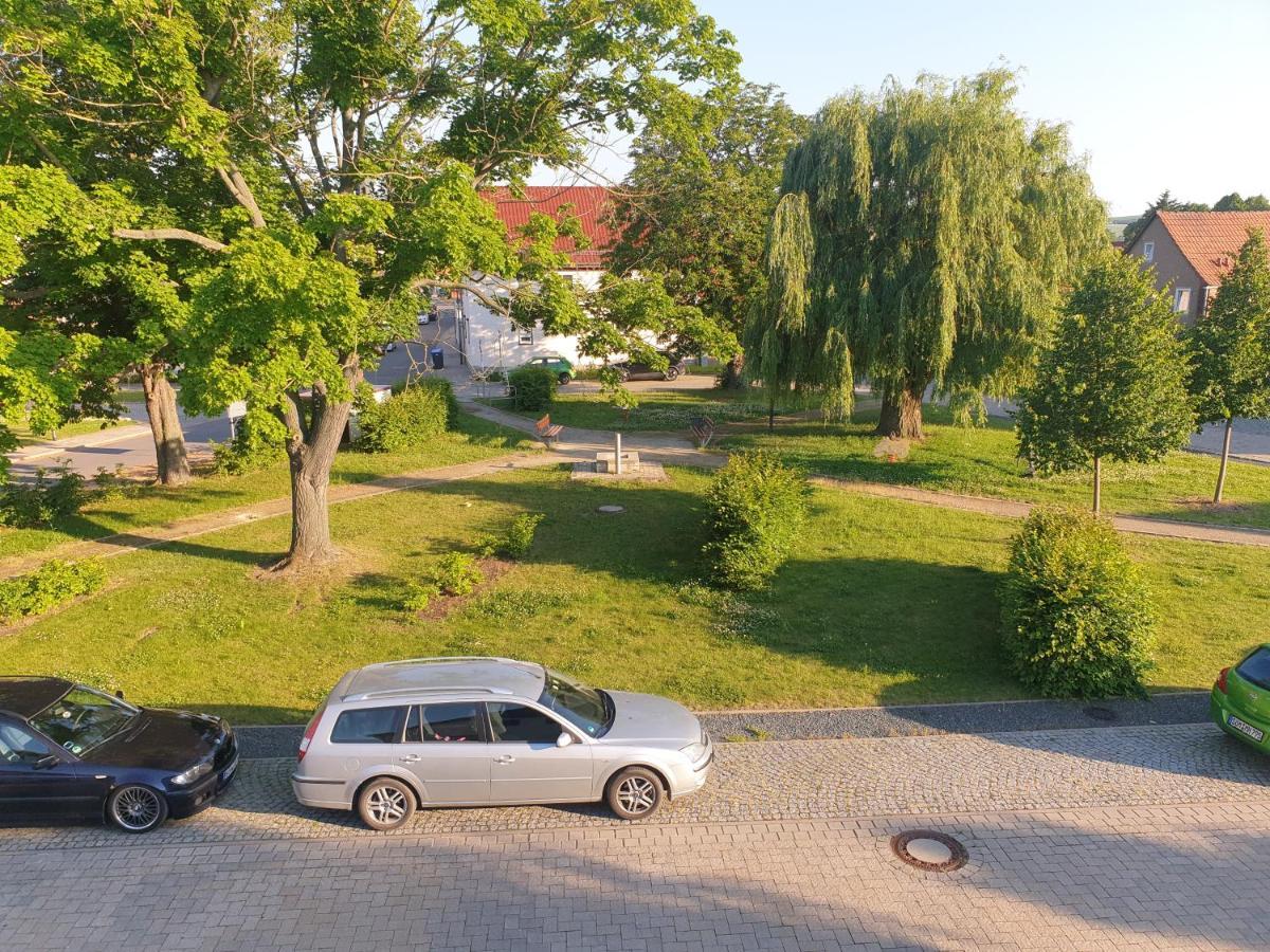 Ganze Ferienwohnung 5 Km Von Erfurt, Mit Kaffeevollautomat, Tv, Wlan, Boxspringbett, Schlafsofa Und Einkaufsmoeglichkeiten, Sehr Gute Anbindung Zur A71 Und A4, Kostenloser Oeff Parkplatz Fuer Pkw Und Transporter Elxleben Extérieur photo